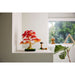 LEGO®Botanicals: Bonsái De Arce Rojo Japonés (10348)_011