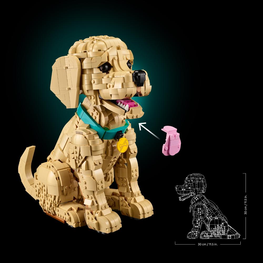 CACHORRO DE GOLDEN RETRIEVER