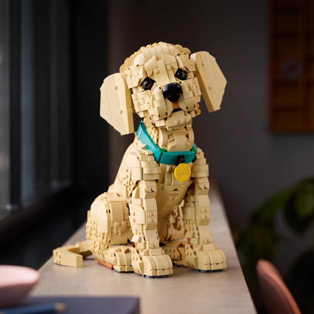 CACHORRO DE GOLDEN RETRIEVER