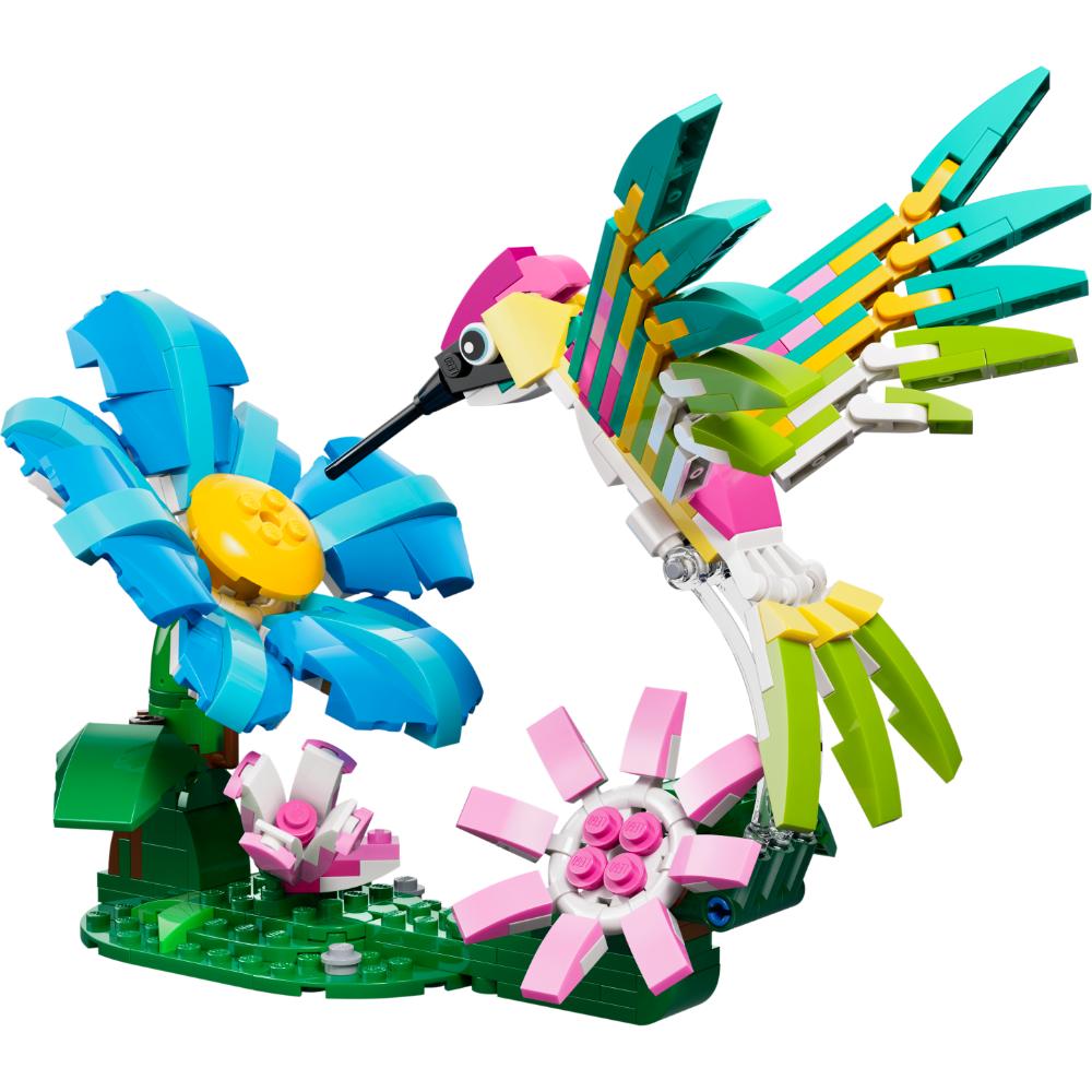 FAUNA SALVAJE: COLIBRÍ DE COLORES