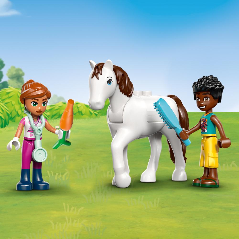 CLÍNICA VETERINARIA DE ANIMALES