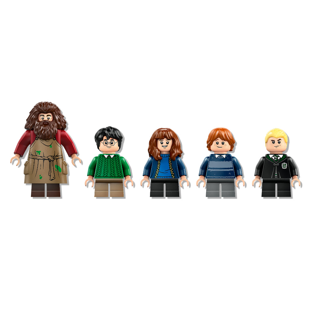 LEGO®  Harry Potter Cabaña de Hagrid: Una Visita Inesperada (76428) _006