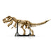 LEGO®Jurassic World: Fósiles De Dinosaurio: Tyrannosaurus Rex (76968)_004