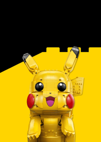 POKEMON™
